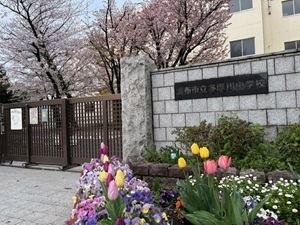 haru